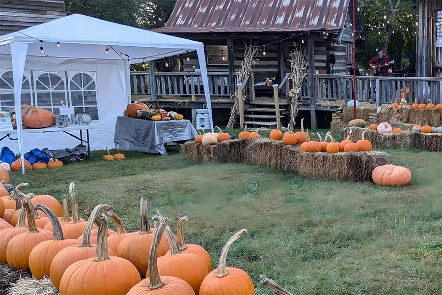 fall carnival pumpkins