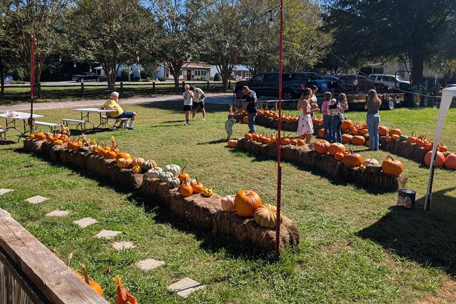 Fall Pumpkin Patch